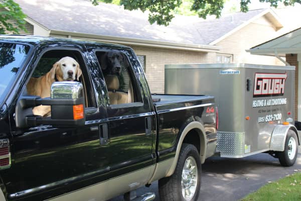Dogs in an HVAC company truck
