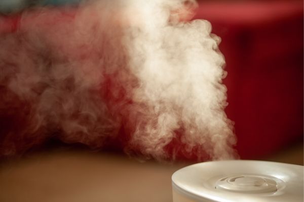 Room humidifier releasing mist into a home